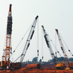 (ni)ɹ˹VI(y)Ƽ޹˾(qing)(xing)Ŀ